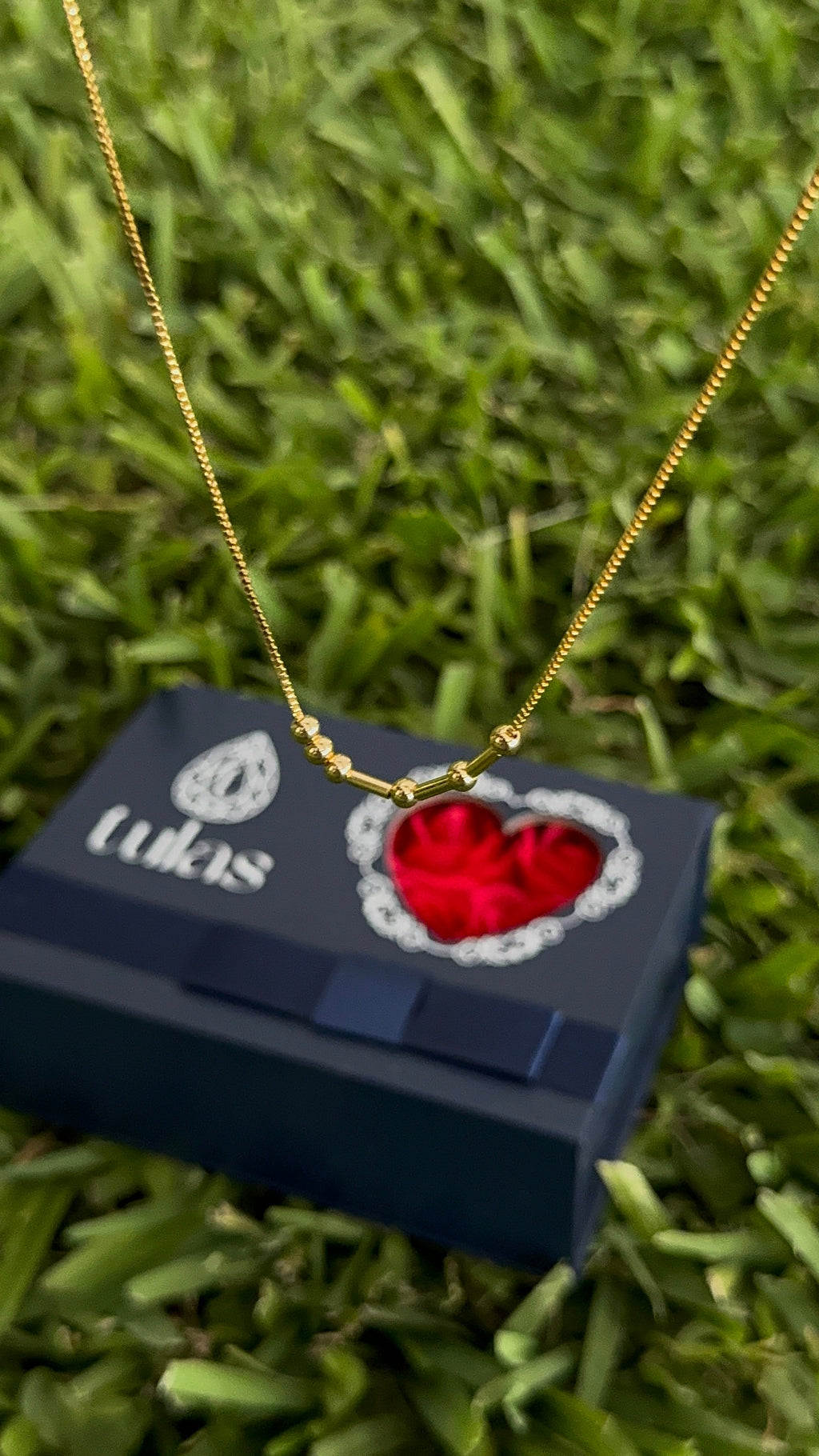 Gift Box